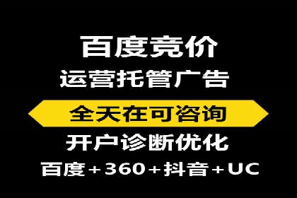 百度推广公司案例解析：如何利用大数据优化营销策略